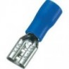 Cosse Faston isolée bleu