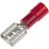 Cosse Faston isolée rouge