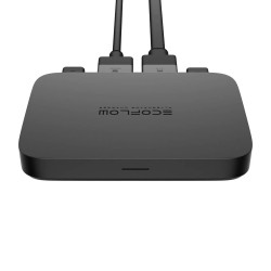 Chargeur d'alternateur Ecoflow