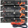 Câble connexion batterie Pylontech