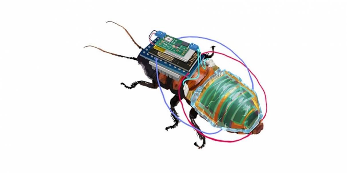 Robot cafard : une innovation technologique solaire pour surveiller l’environnement