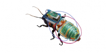 Robot cafard : une innovation technologique solaire pour surveiller l’environnement